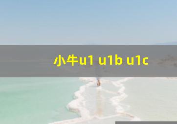 小牛u1 u1b u1c